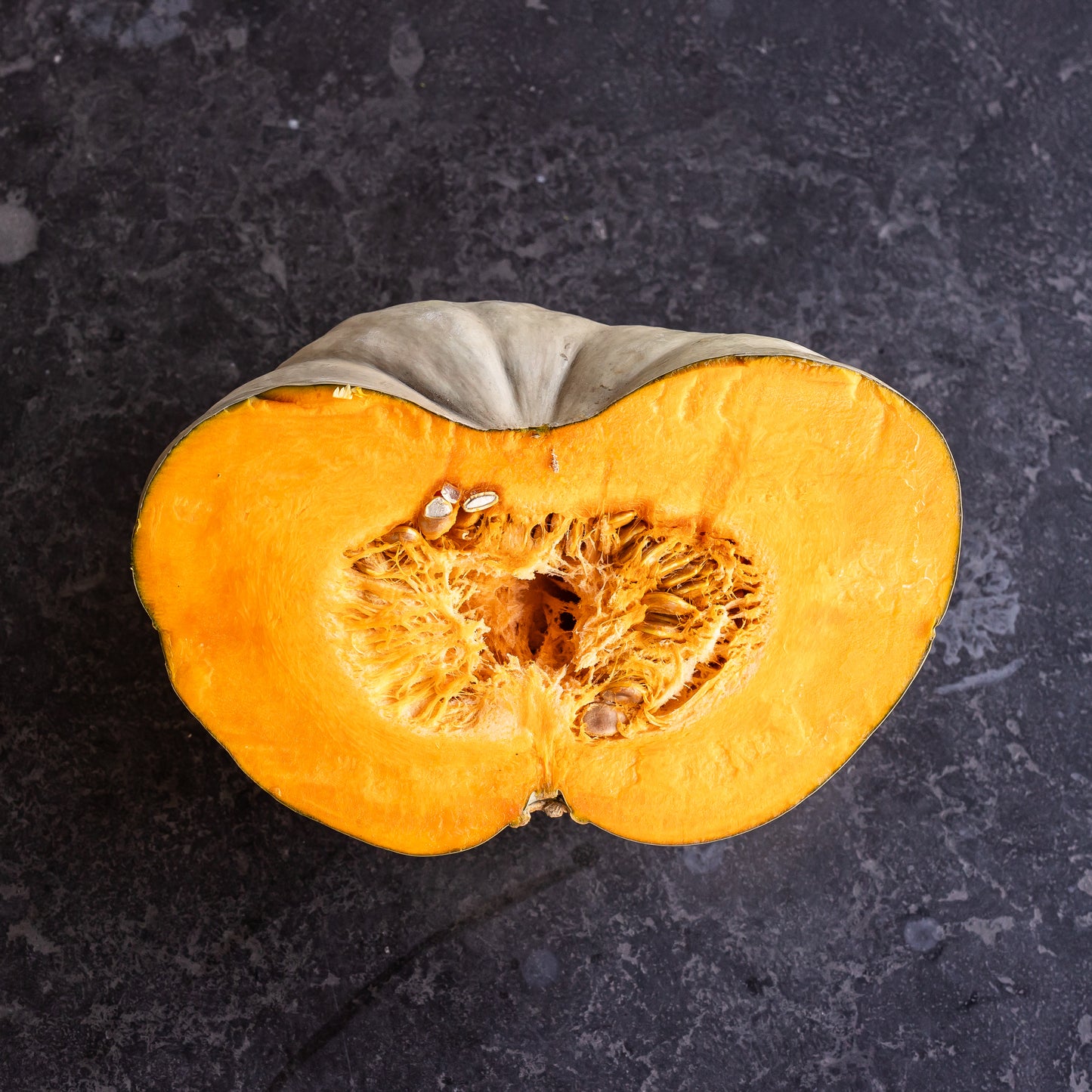 Pumpkin Grey Quarter Cut
