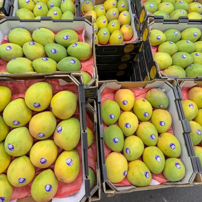 SPECIAL Mango Kensington Pride Large (Each)