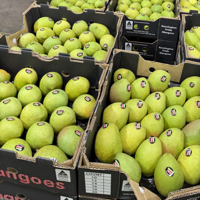 SPECIAL Mango Kensington Pride (Each)