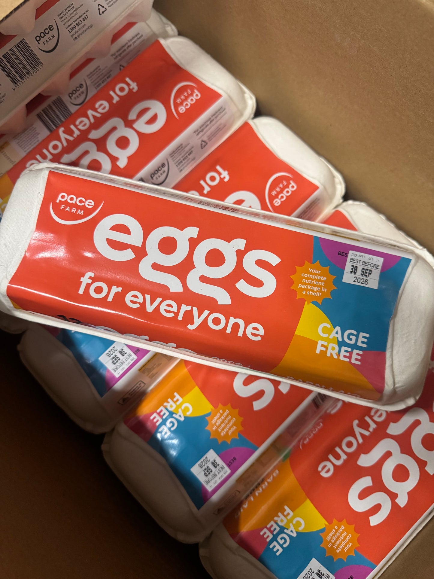 Pace Farm Eggs For Everyone Cage Free 12 Pack 700g