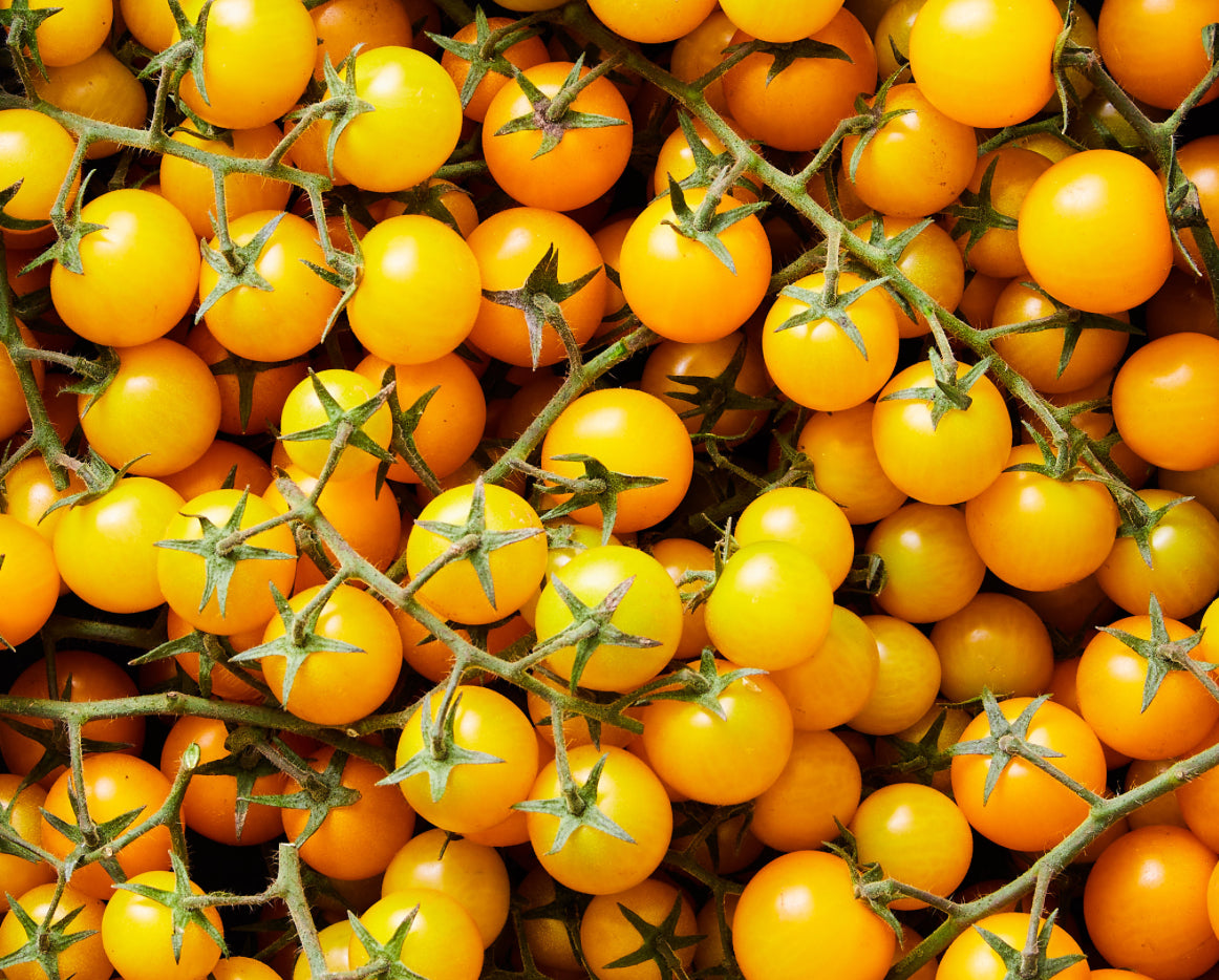 Yellow Cherry Truss 500g