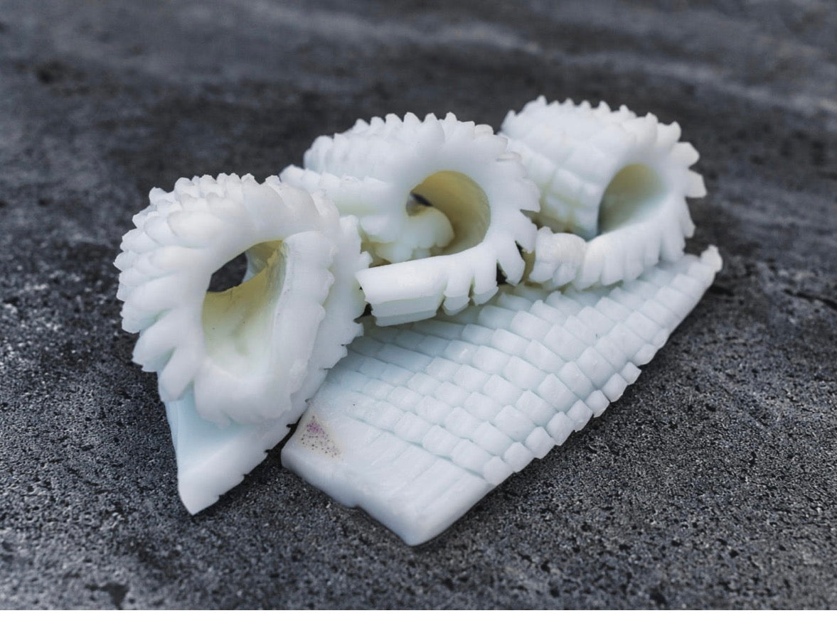 Squid Pineapple cut (370-420g) frozen