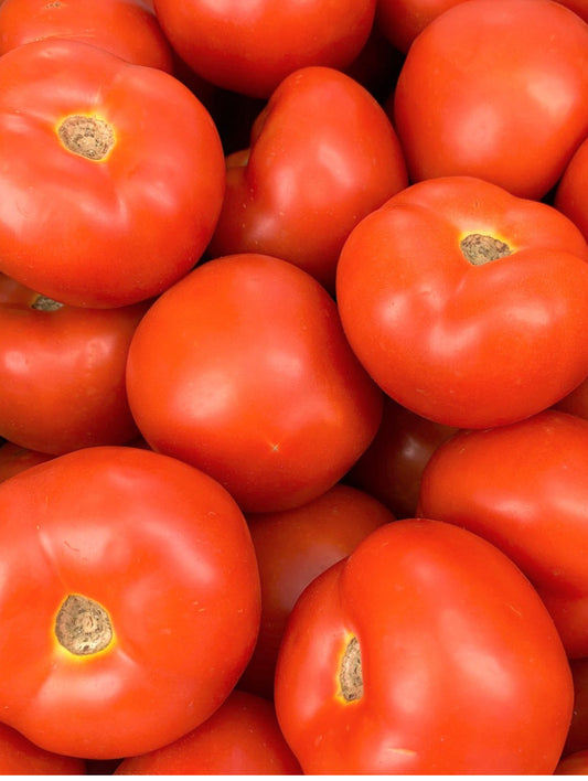 Organic Tomato Gourmet Each