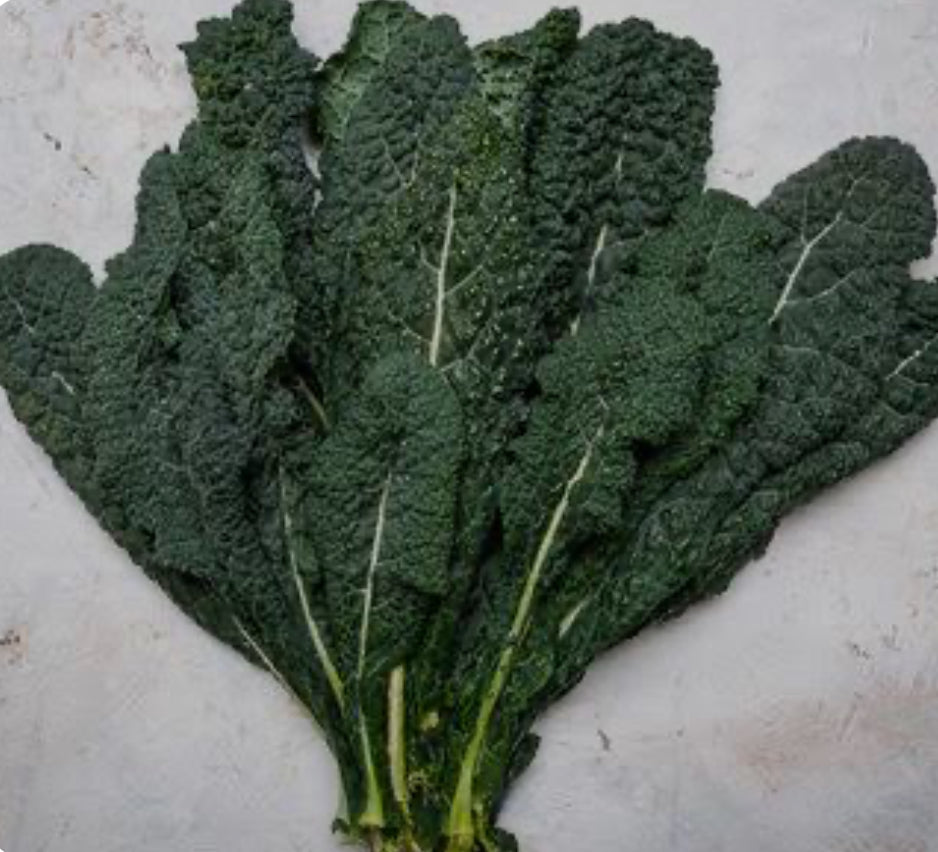 Organic Tuscan Black Kale Bunch