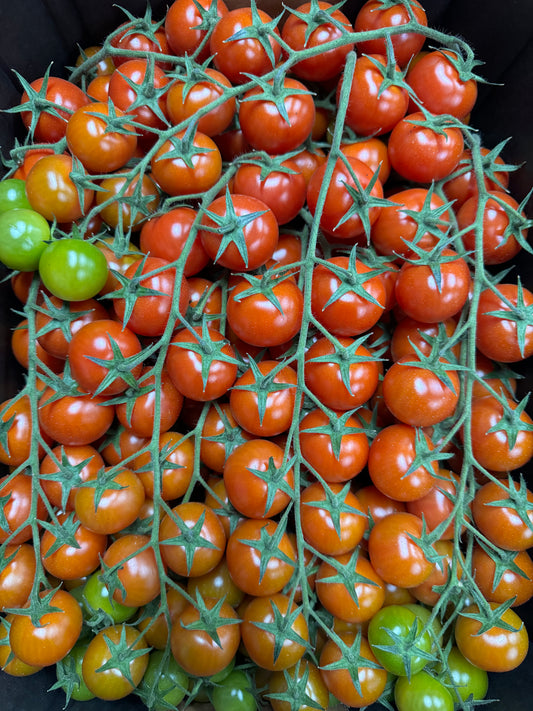Tomato Cherry Truss 500g