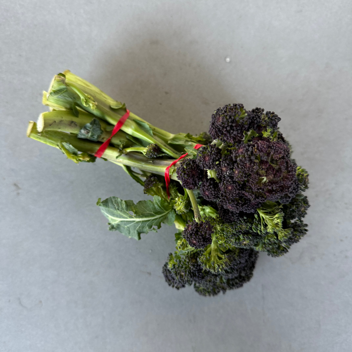 Purple Organic Baby Broccoli (Each)