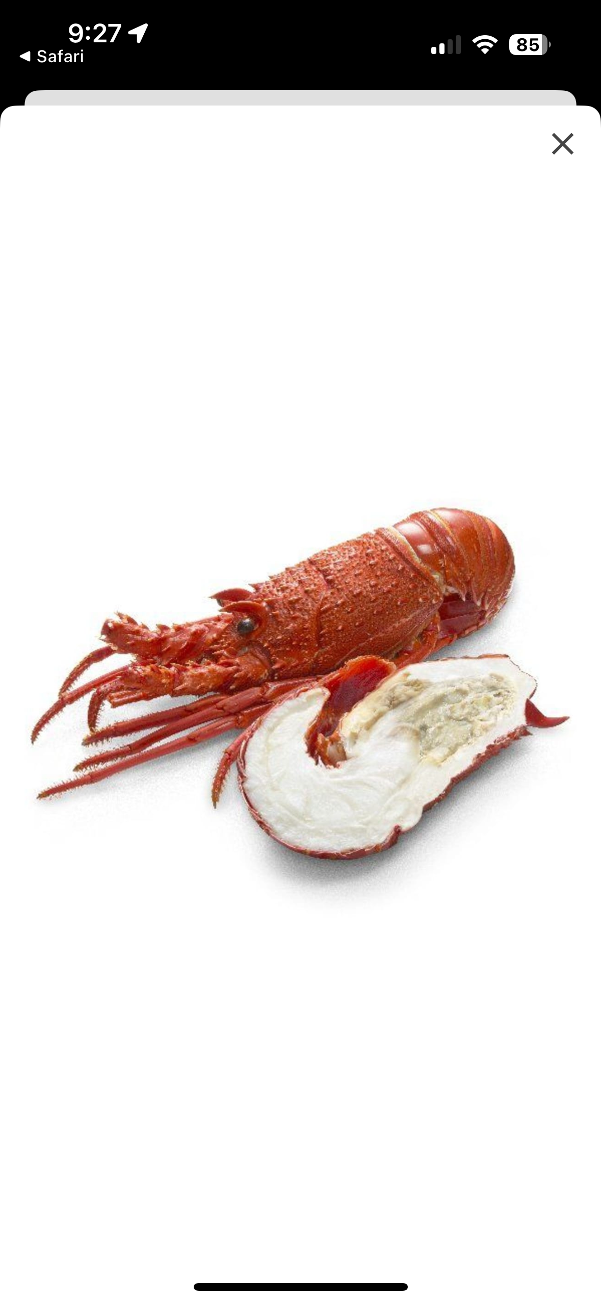 Half Frozen Western Rock Lobster (210-250g)