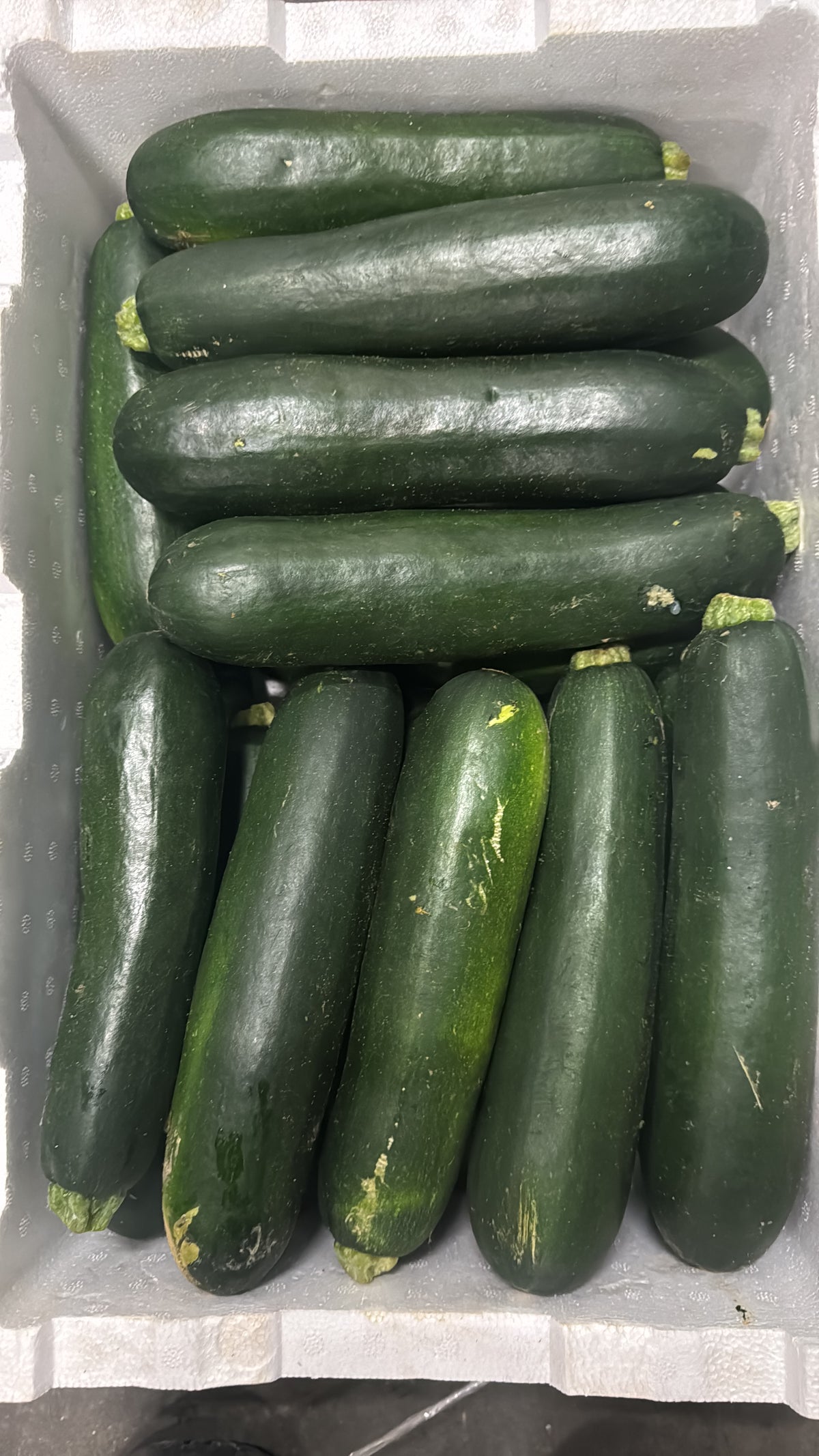 SPECIAL Zucchini 10kg