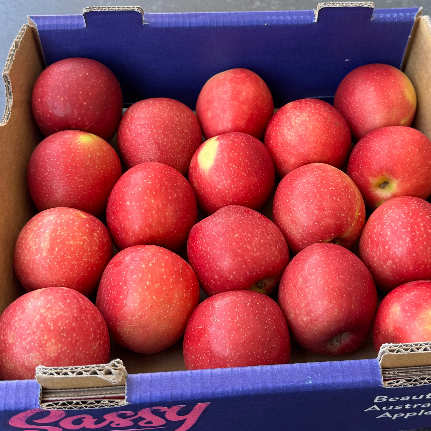 SPECIAL Sassy Apples 1kg Bag