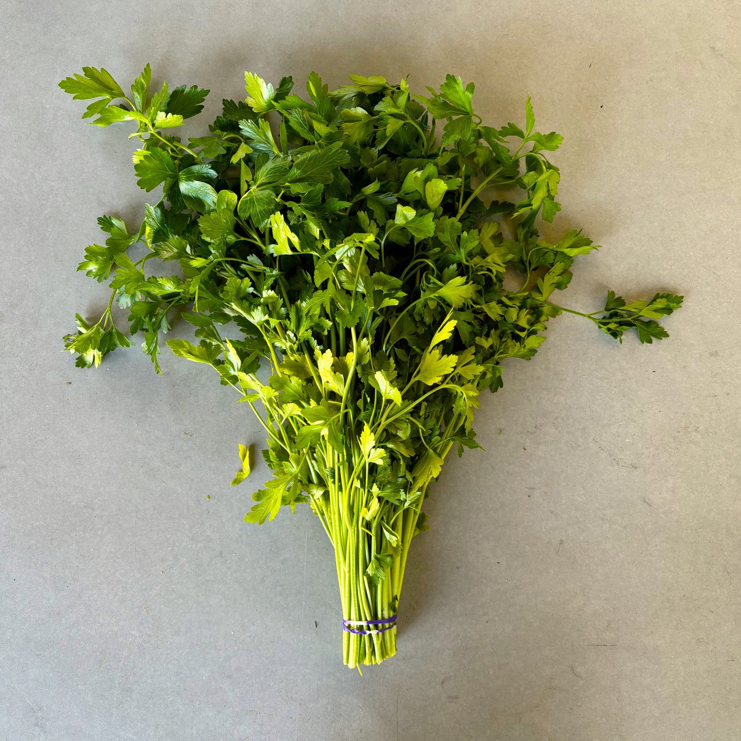 Organic Parsley Bunch (Each)