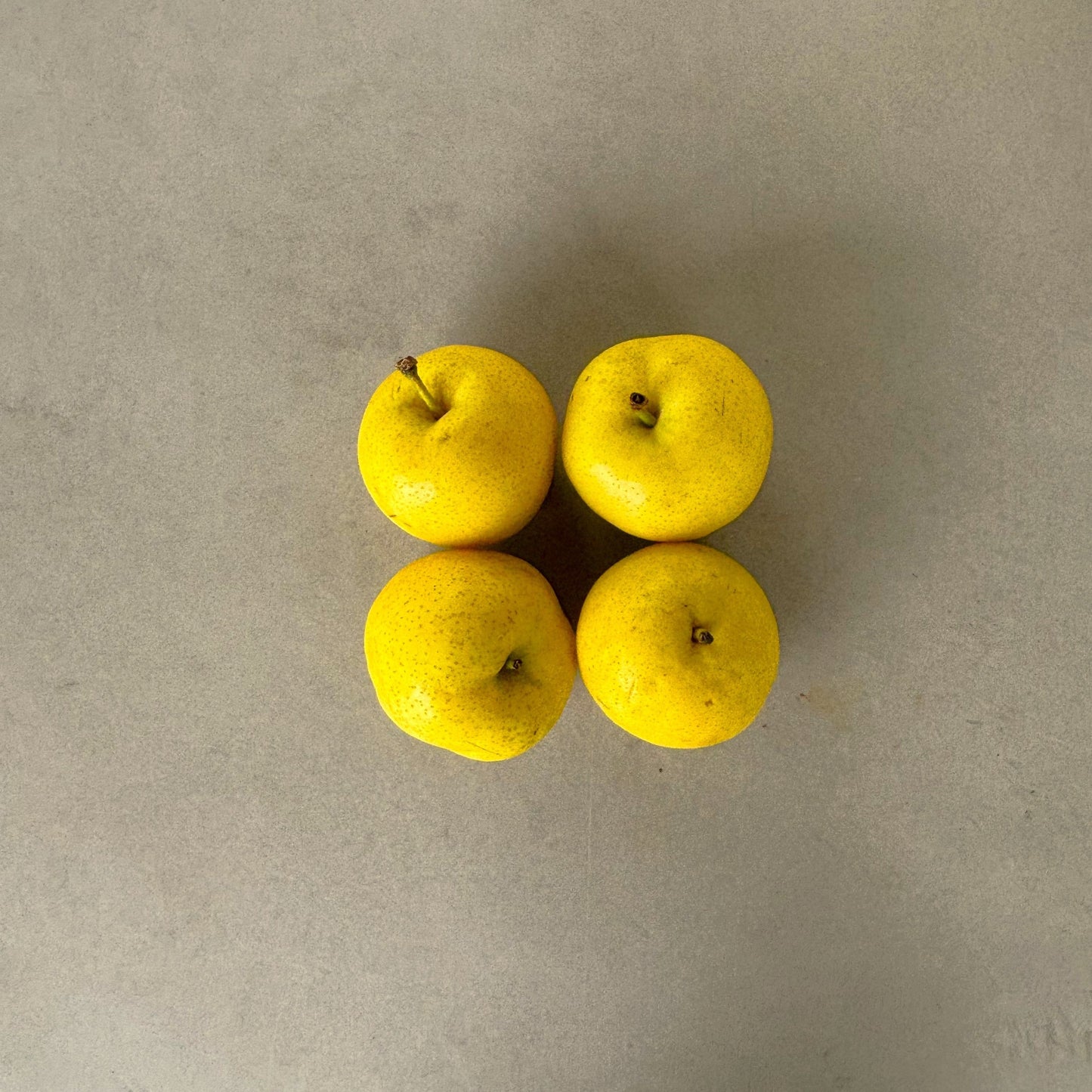 Nashi Pear (Each)