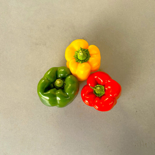 Capsicum Traffic Lights Pack