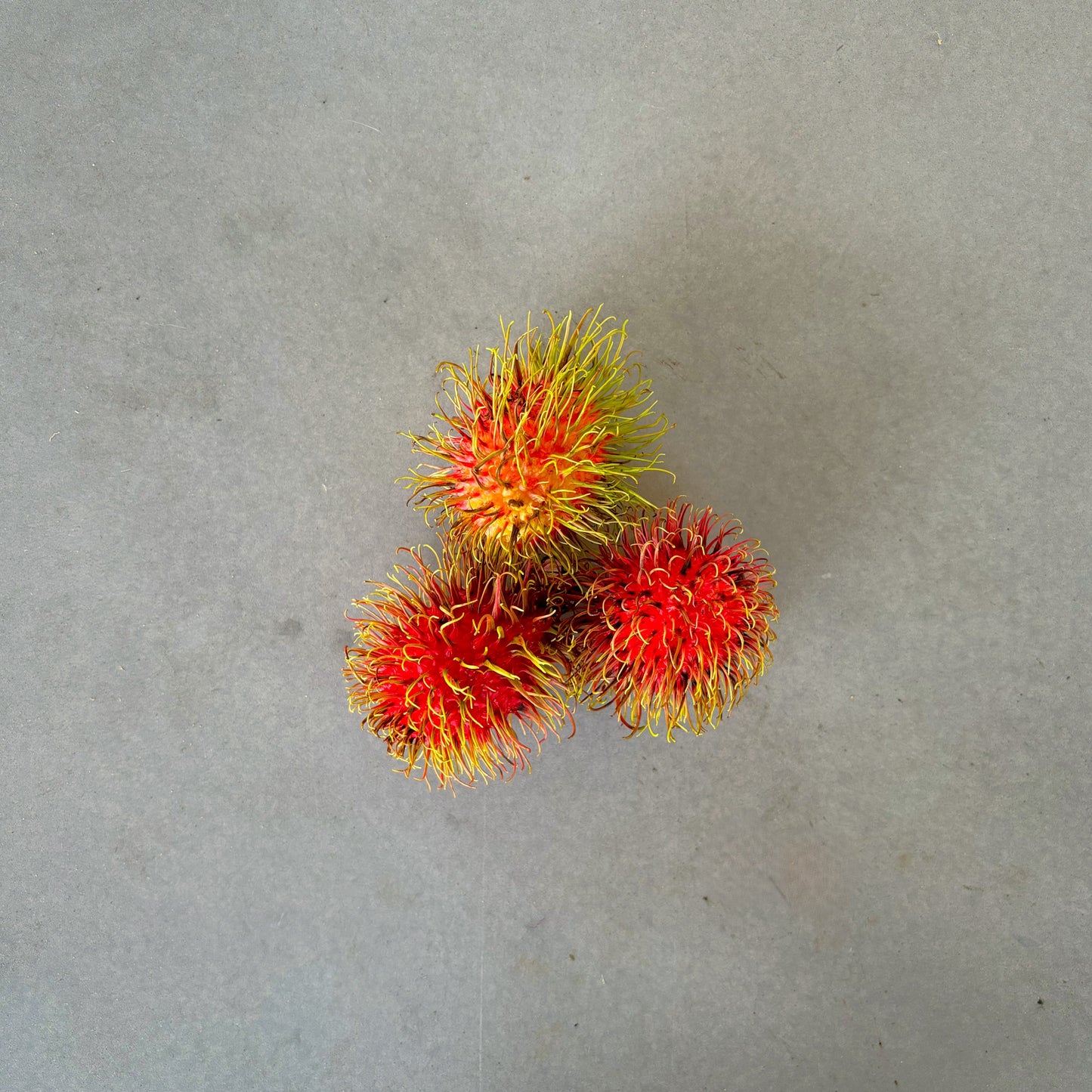 Rambutan (3xpack)
