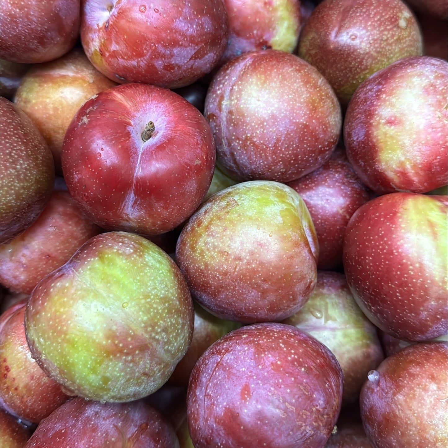 Candy Plum 1kg
