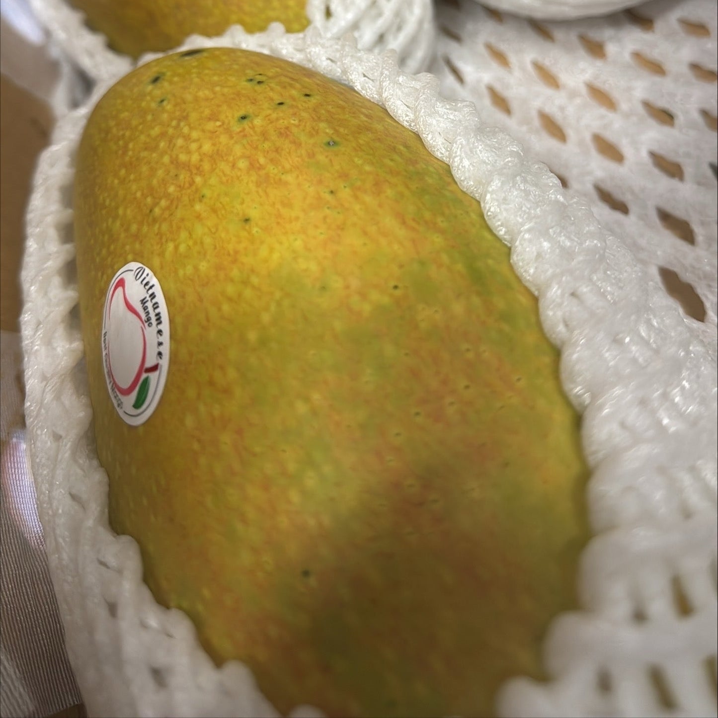 Vietnamese Mango Each