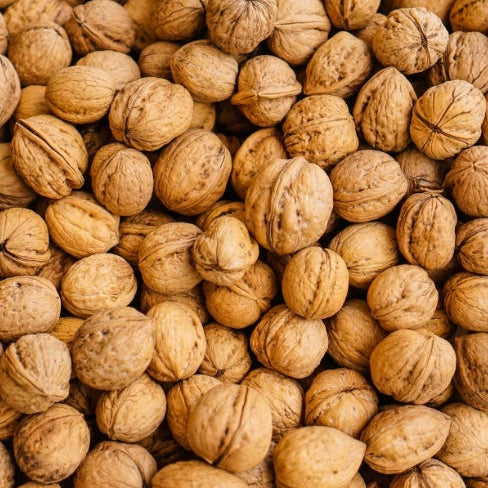 Fresh Nuts Walnuts 1kg×6袋 Walnuts 1kg – Alpha Fresh