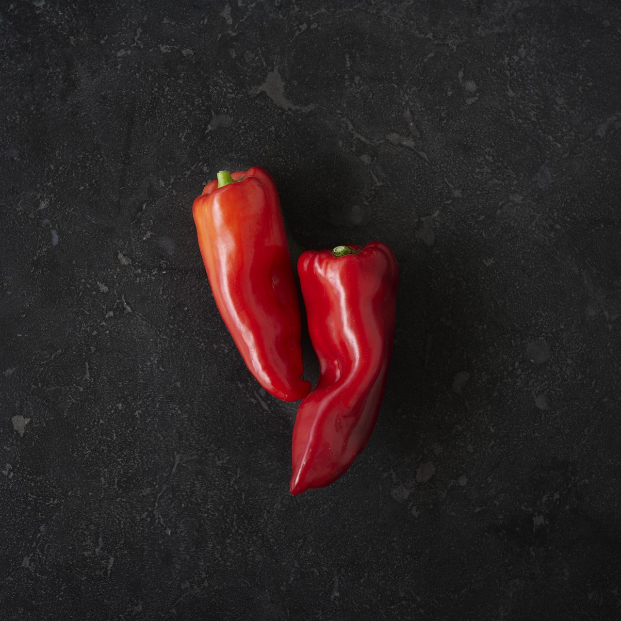 Chilli Bullhorn Red (Each)