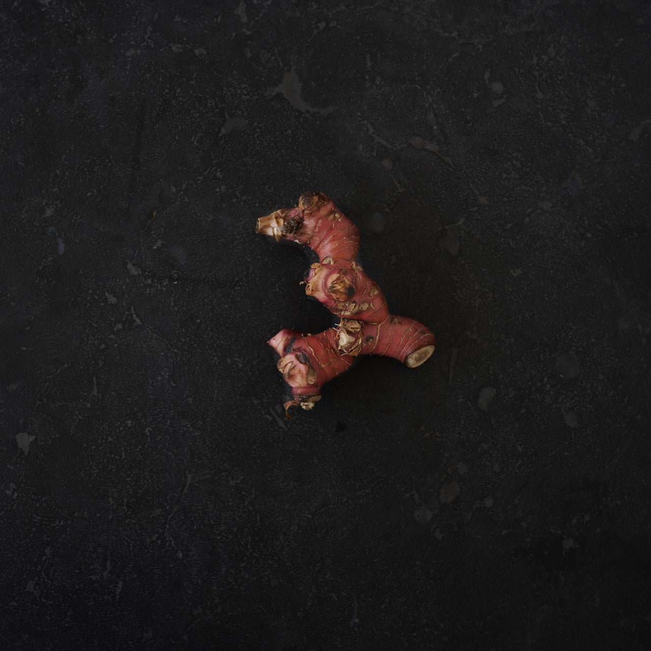 Galangal 100g (Each)