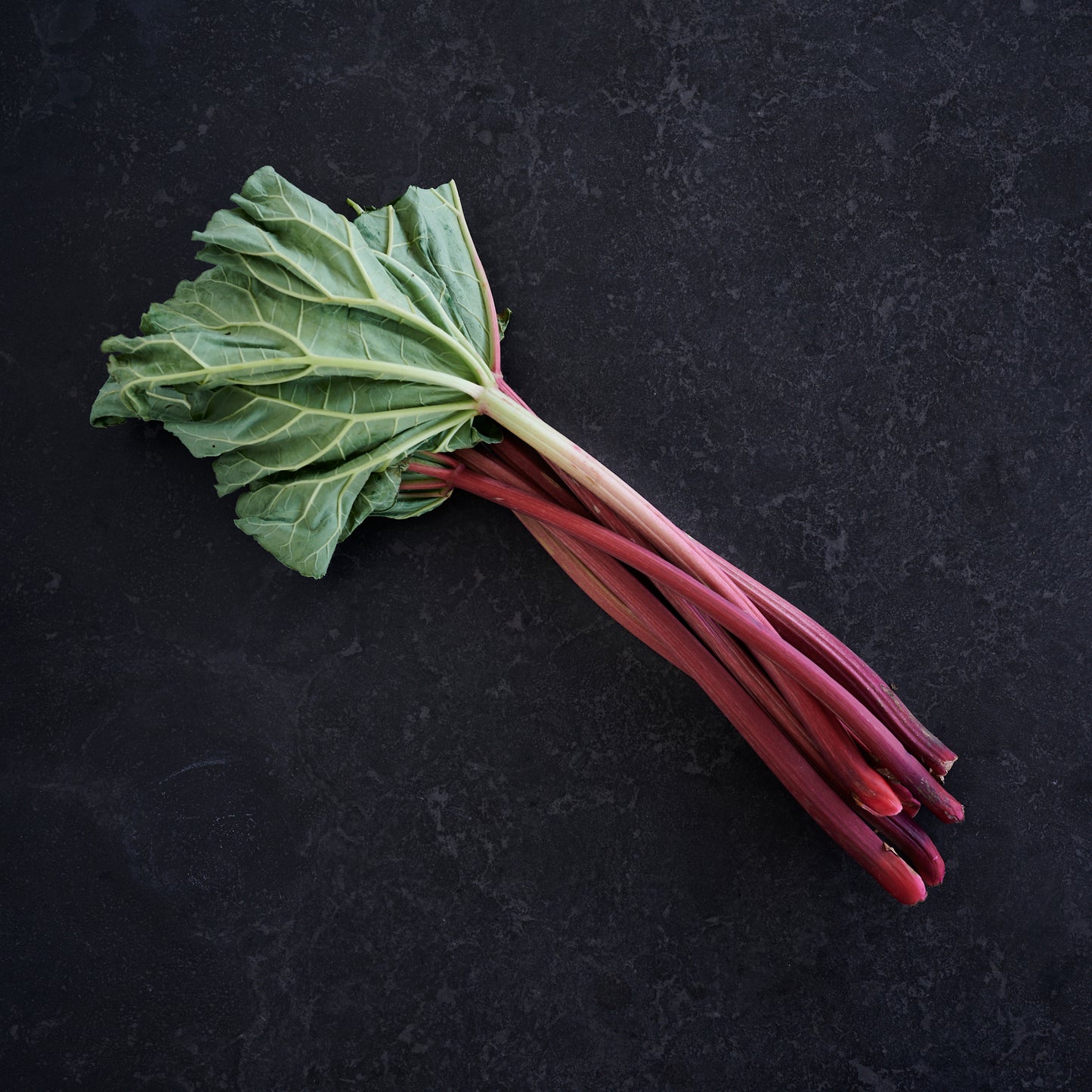 Rhubarb (Each)