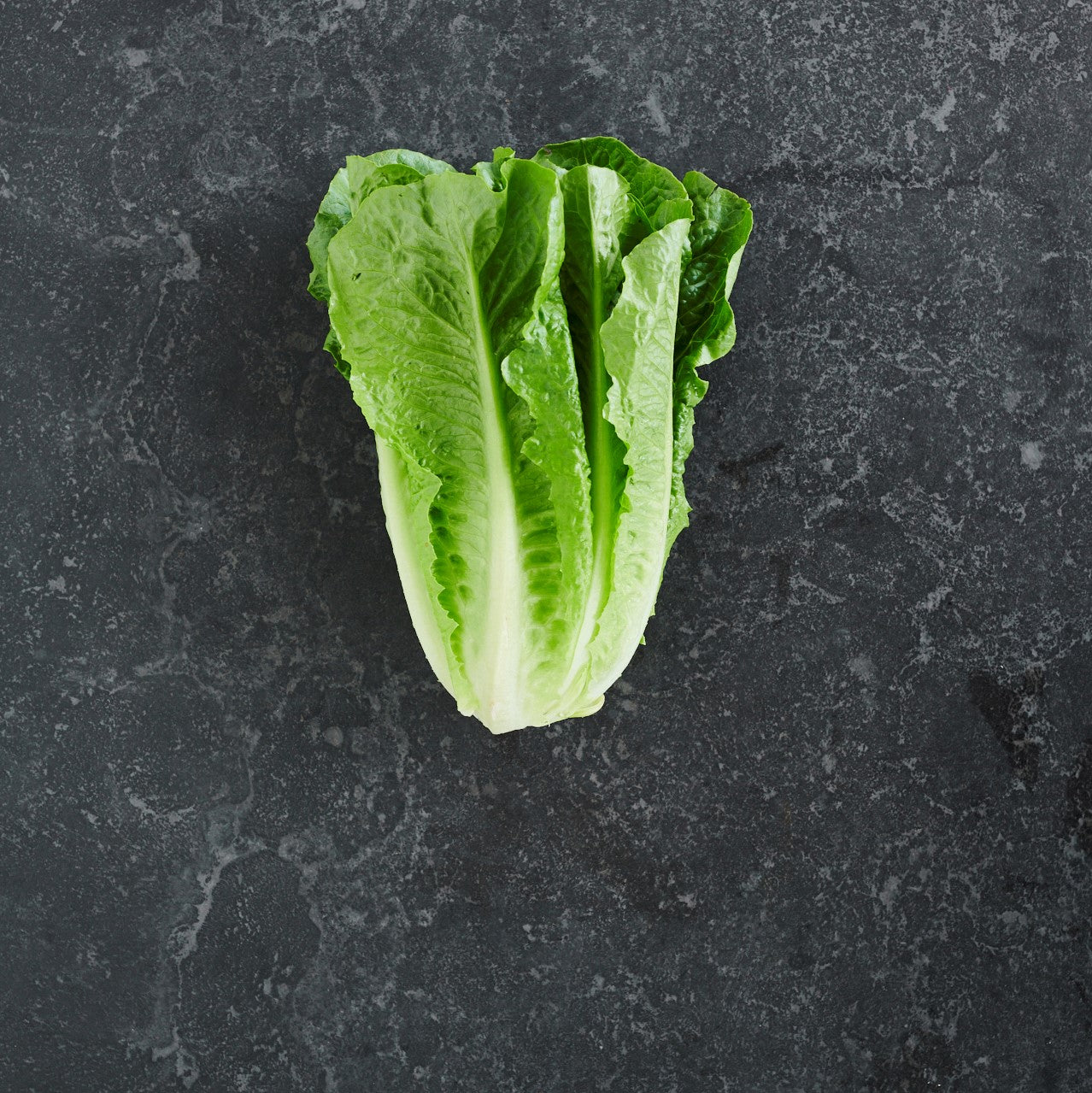 Lettuce Cos (Each)