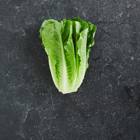 Lettuce Cos (Each)