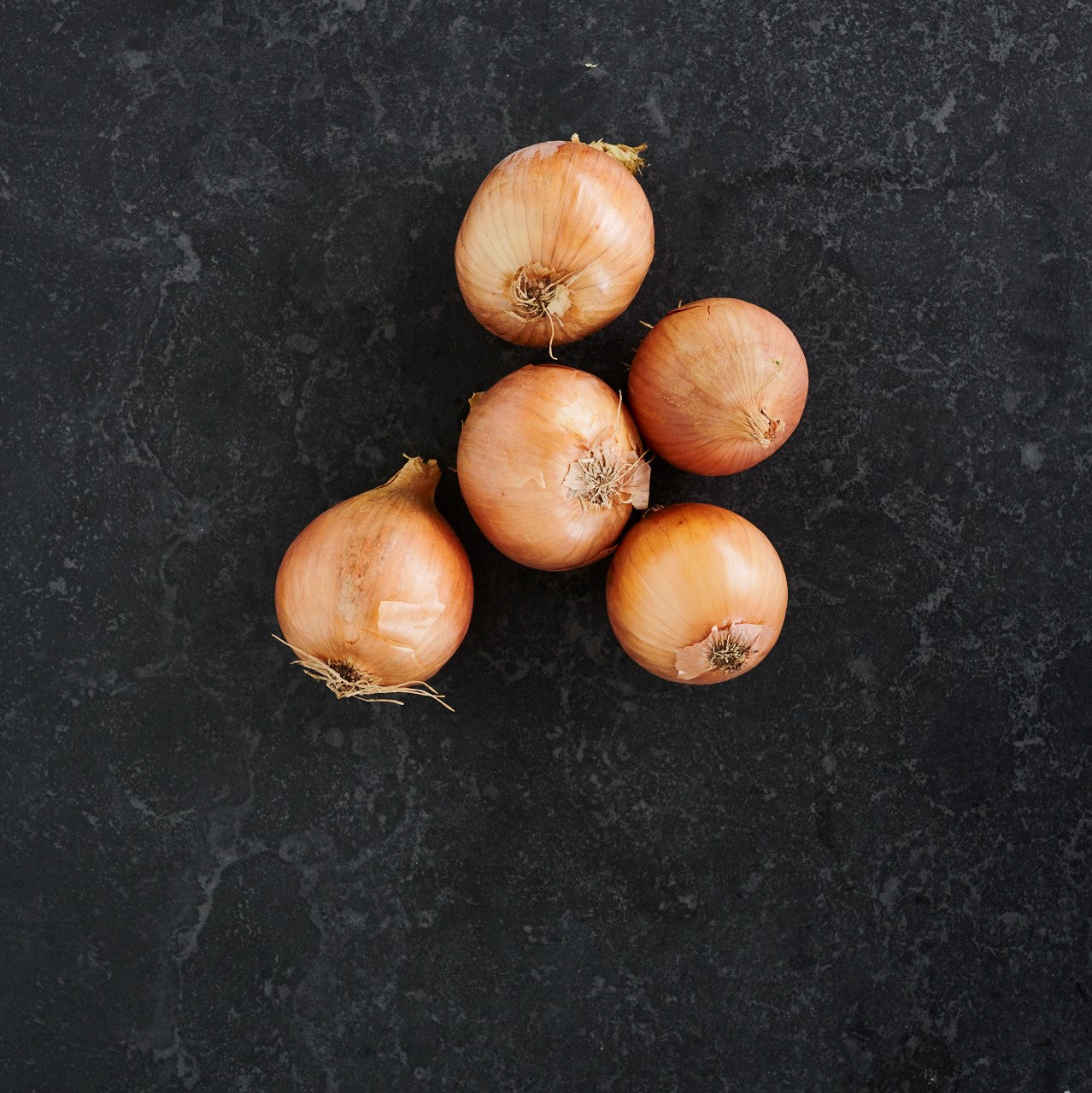 Onion Brown Large (Each)