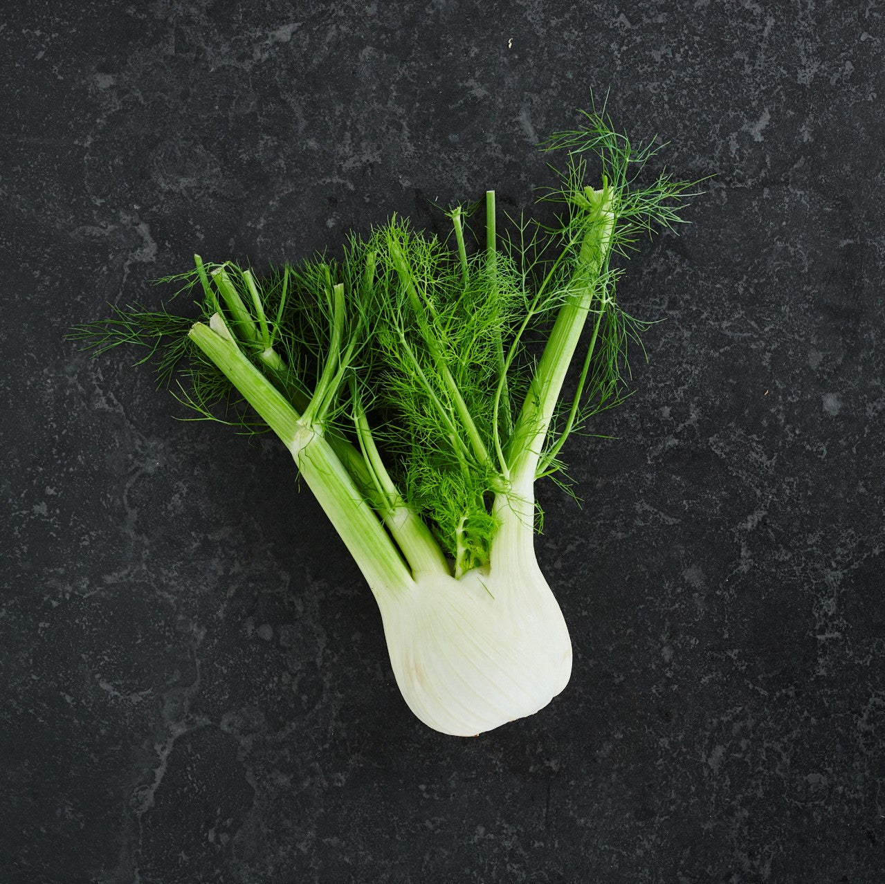 Fennel (Each)