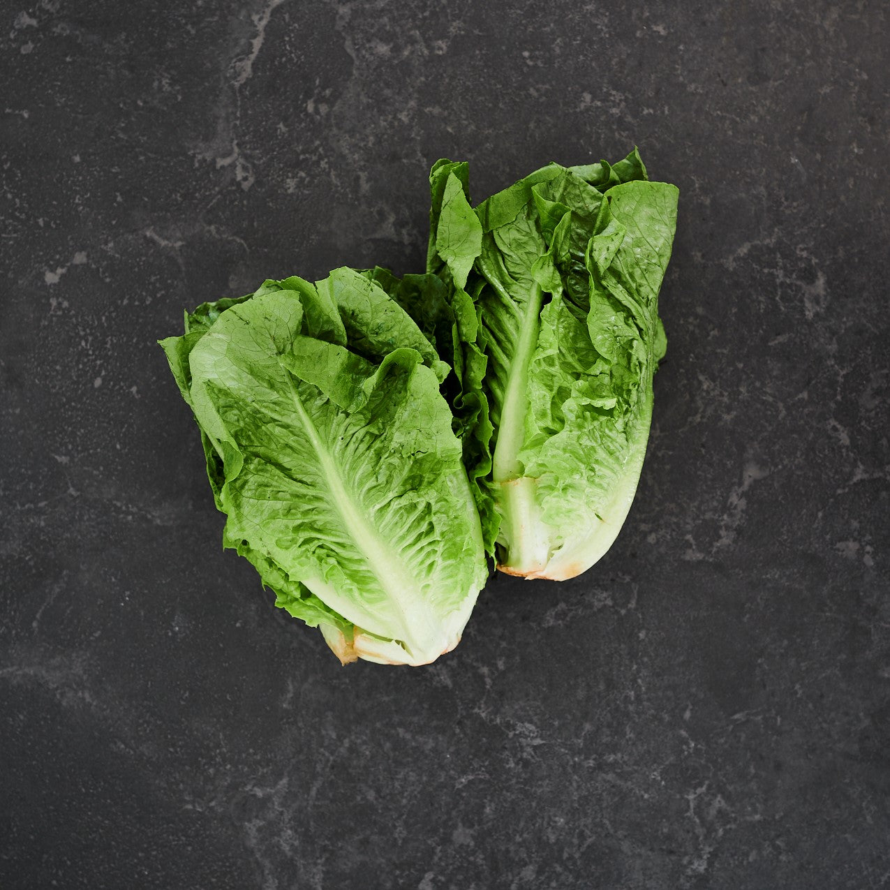 Lettuce Baby Cos Twin Pack