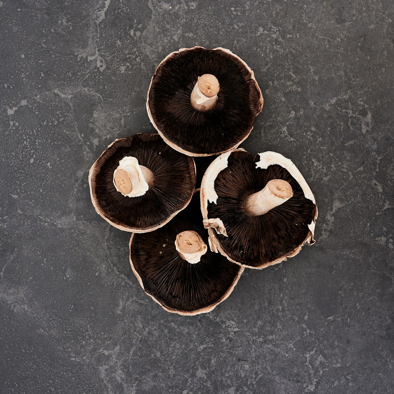 Mushroom Portabello 400g Punnet