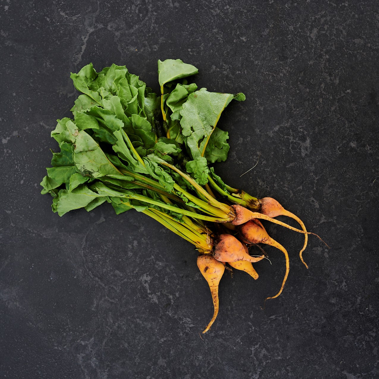 Beetroot Baby Target (Bunch)