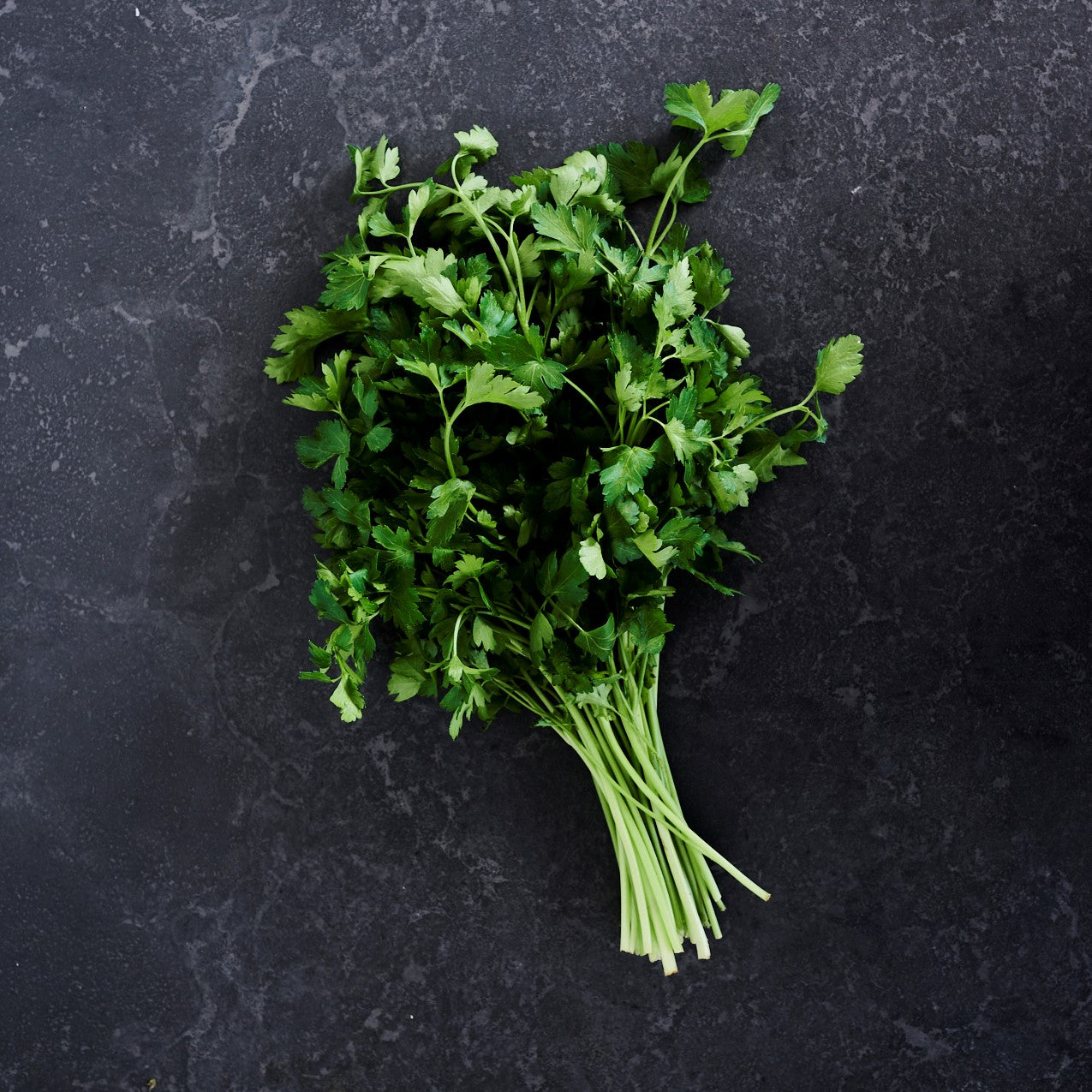 Parsley Continental Large (Bunch)