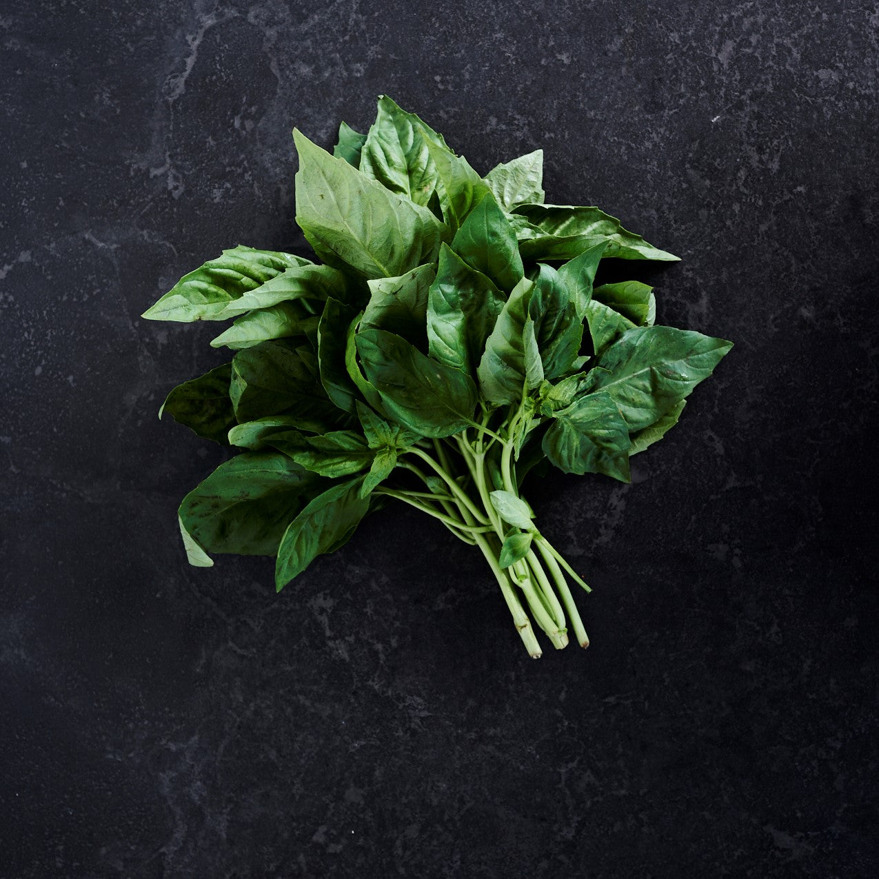 Basil Sweet Large Bunch Alpha Fresh