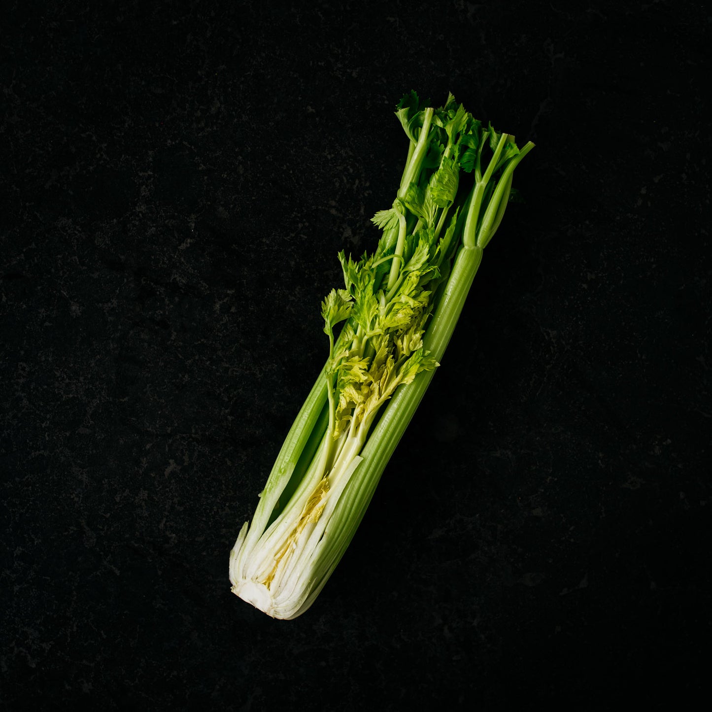 Celery (Half)