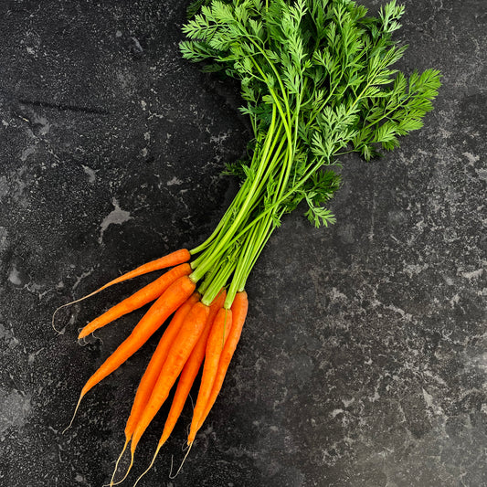 Carrot Dutch (Bunch)