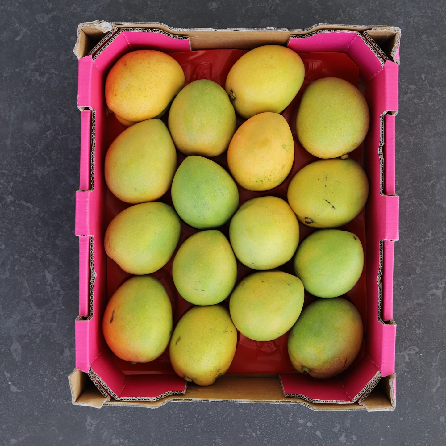 SPECIAL TRAY Mango Kensington Pride