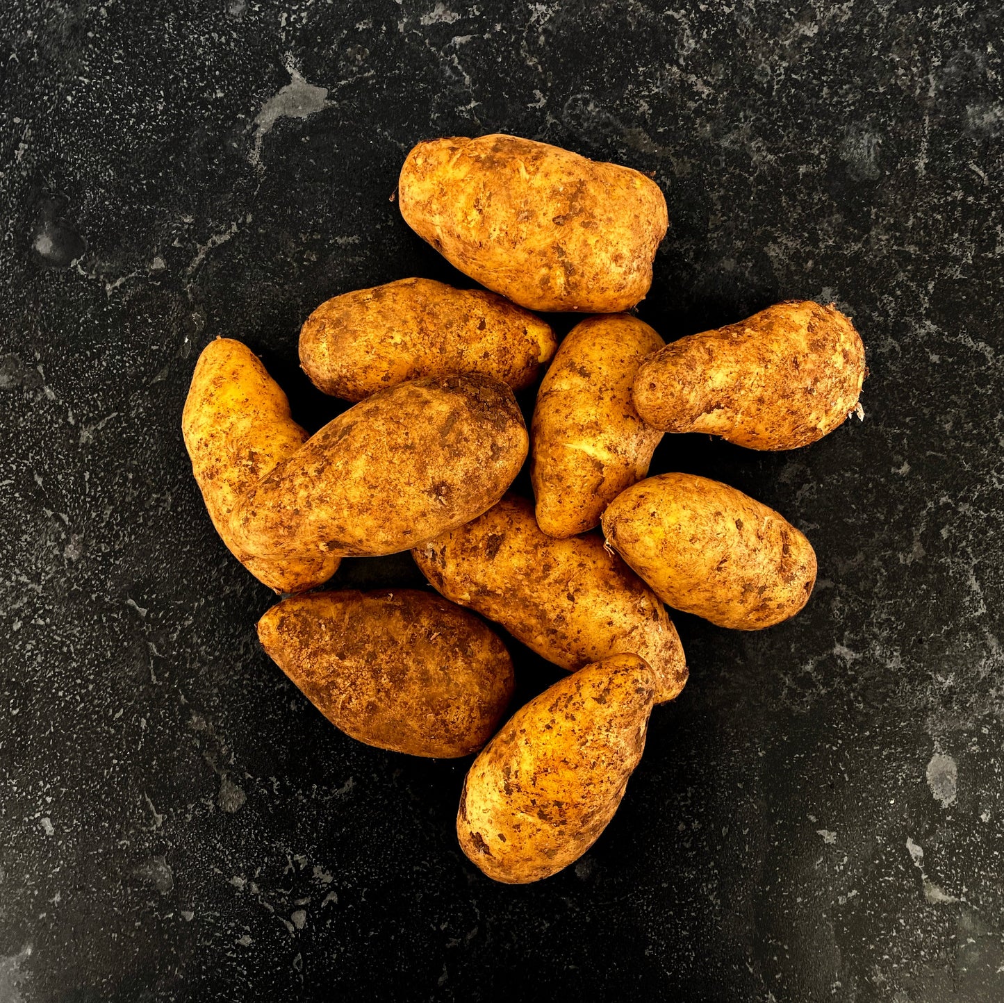 Potato Nicola (Each)