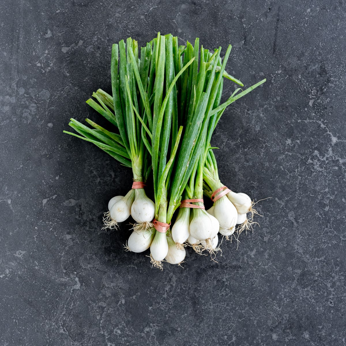 Spring Onion (Bunch)