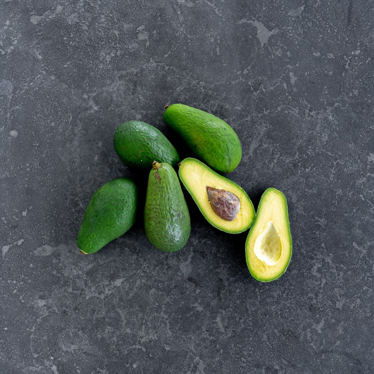 SPECIAL Avocado Sheppard Large (Each)