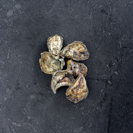SPECIAL Narooma seafoods Sydney Rock Oysters Live Medium Size (Dozen)