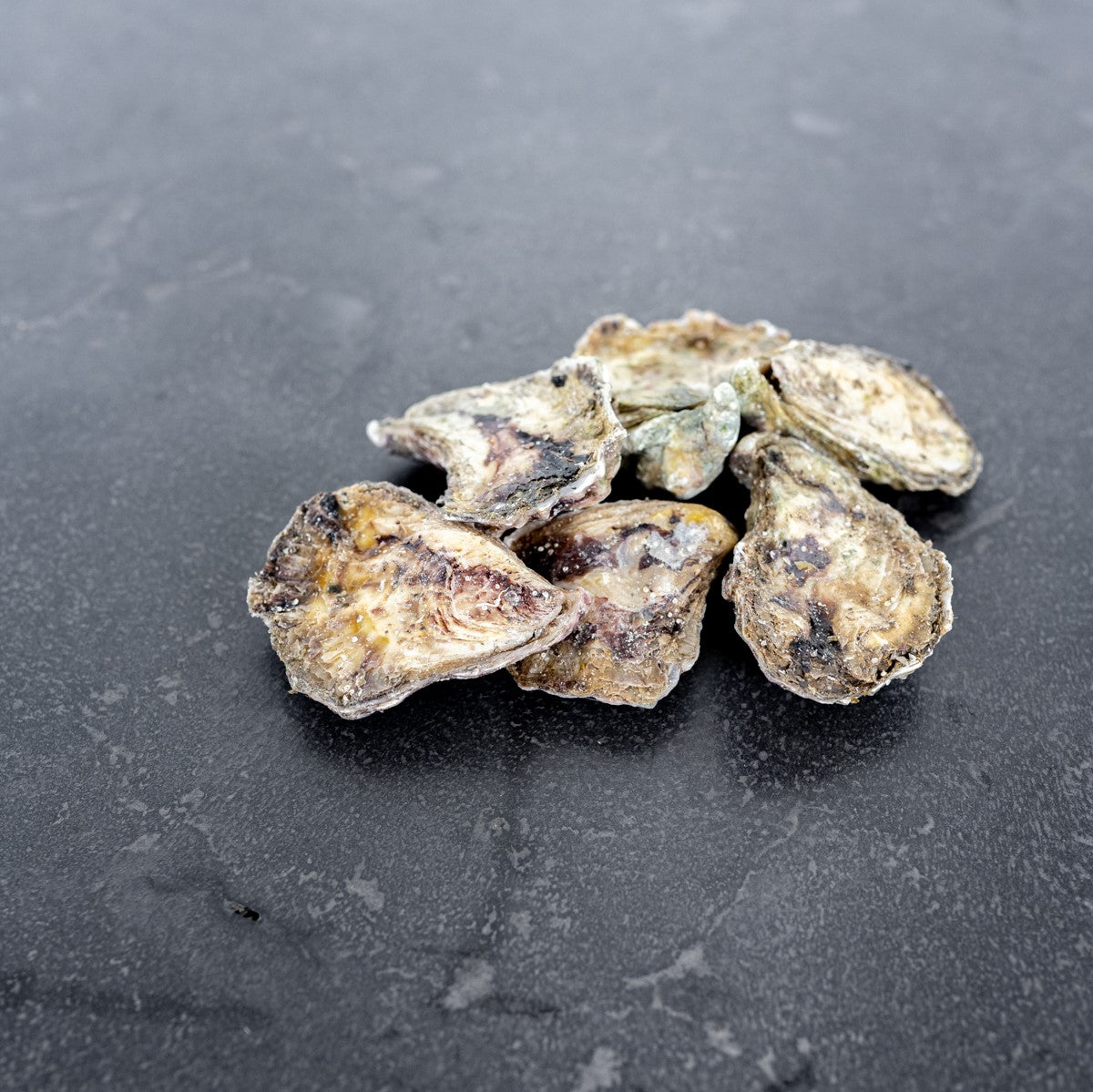 Narooma seafoods Sydney Rock Oysters Unshucked Medium Size (Dozen)