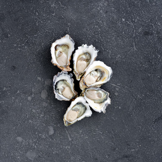 Merimbula Sydney Rock Oysters Extra Large Size (Dozen)