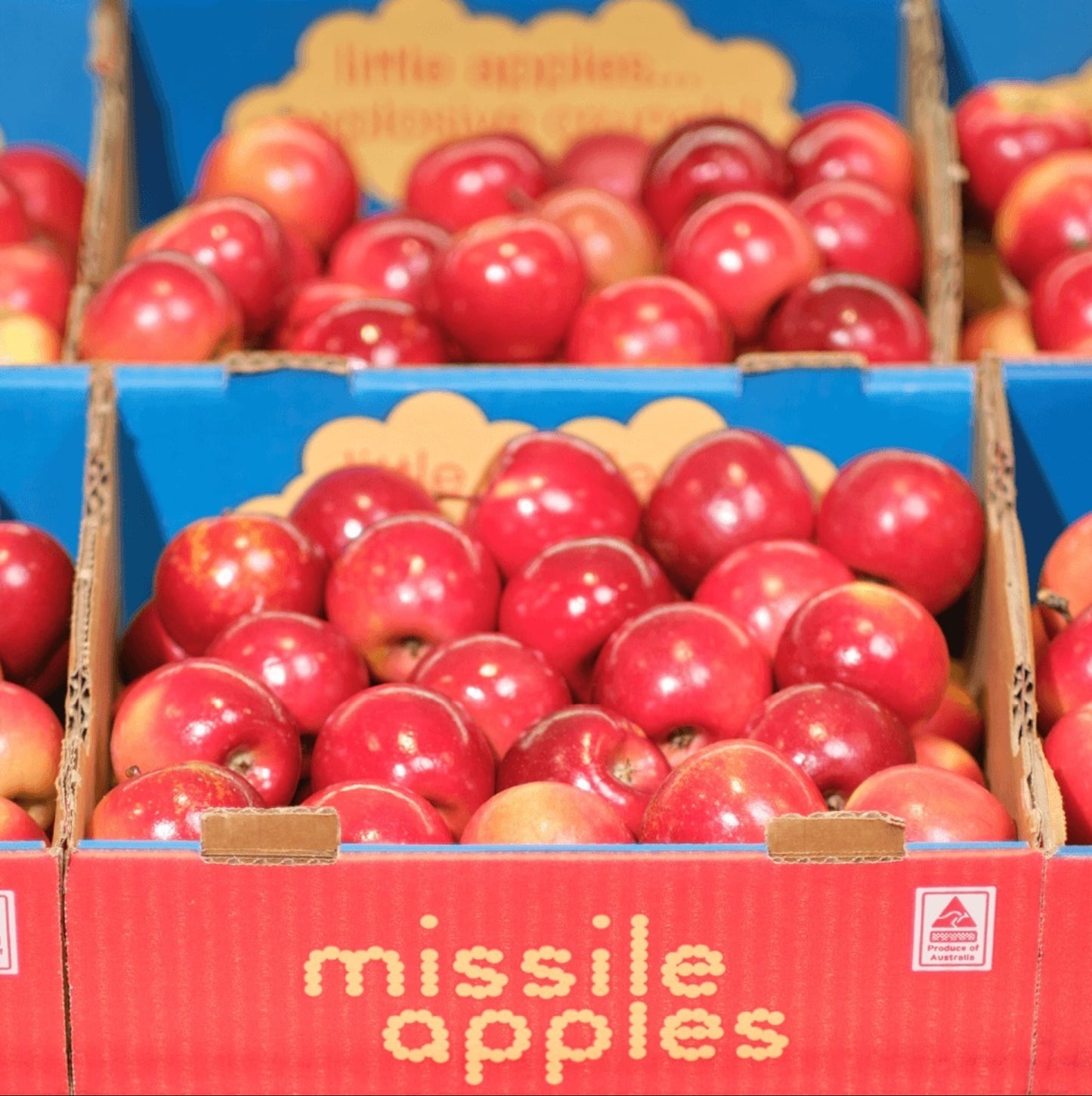 Apple Missile Extra Small (Each)