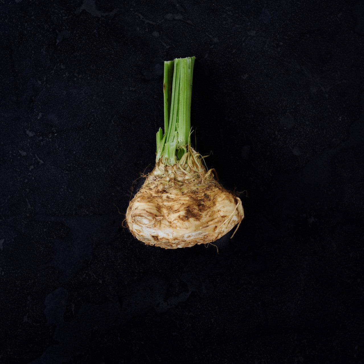 Celeriac (Bunch)