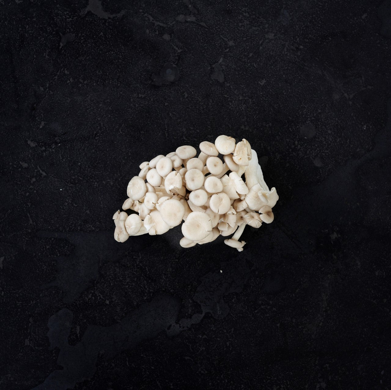 Mushroom Shimeji 150g (Punnet)