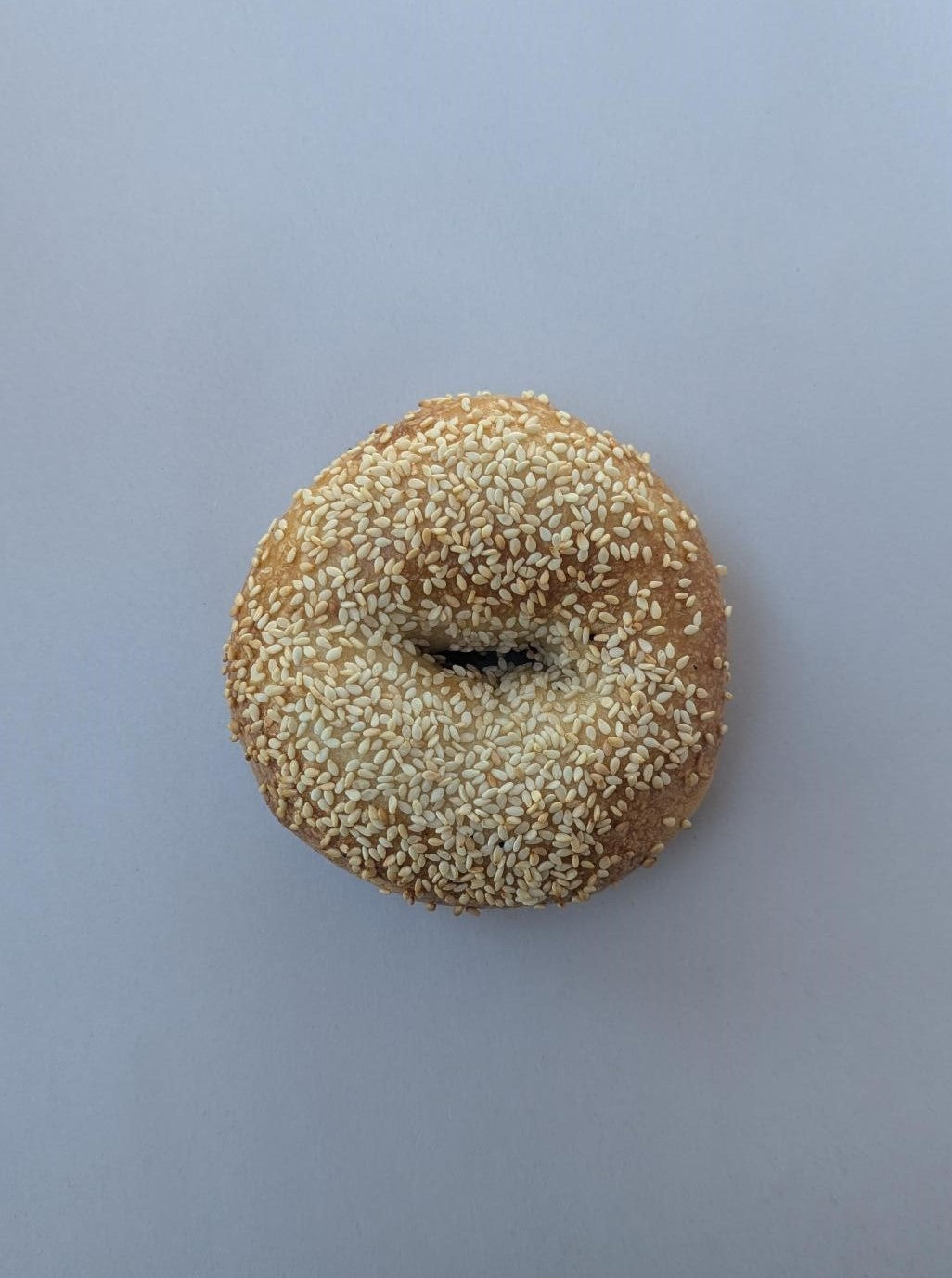 SPECIAL Sesame Bagel 4 Pack from Love Street Bagels