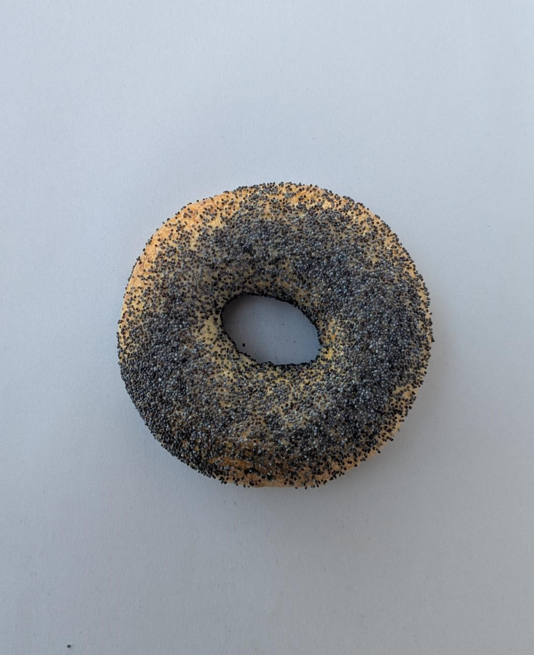 SPECIAL Poppy Bagel 4 Pack from Love Street Bagels