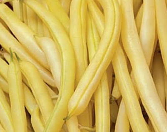 Butter Beans 250g