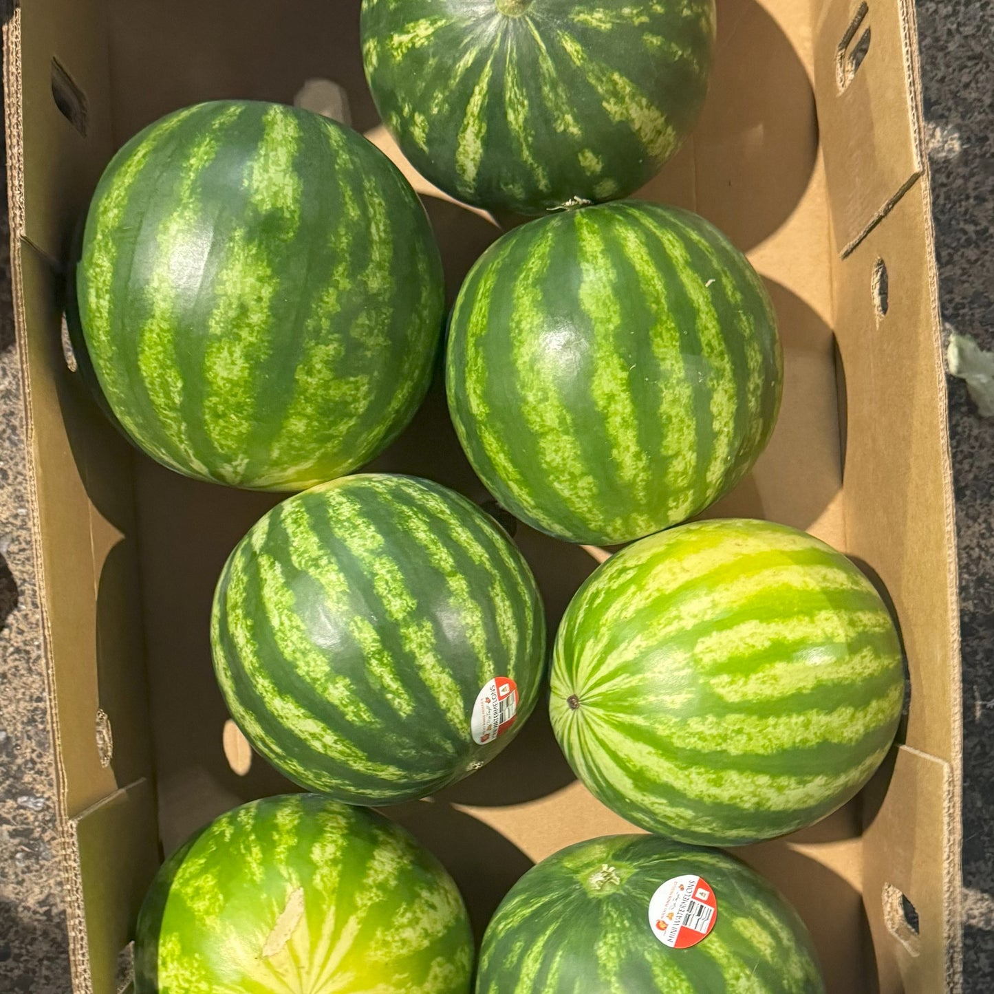 Mini Melon Small (Each)