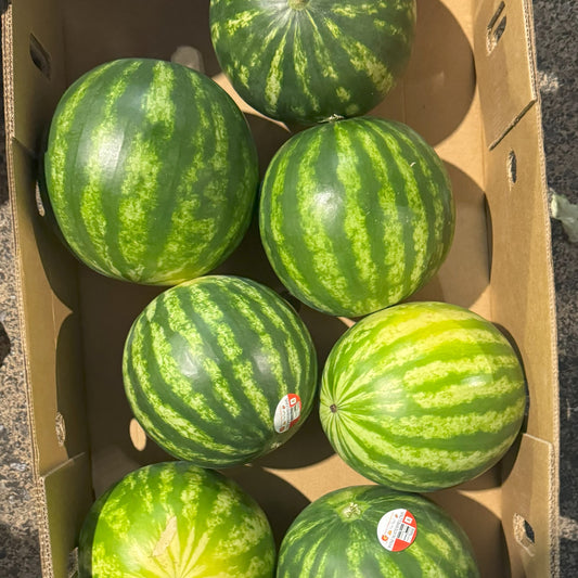 Mini Melon Small (Each)