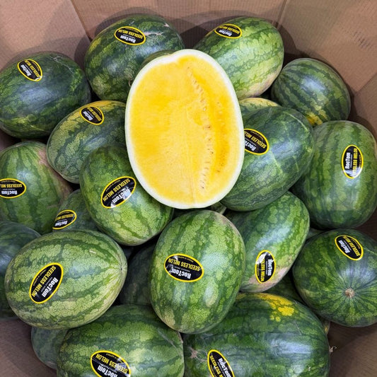 SPECIAL Yellow Champagne Seedless Watermelon Whole (Approx 6-7kg)